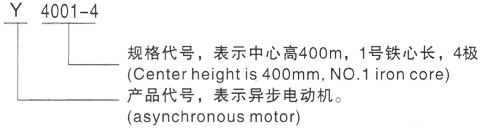 西安泰富西玛Y系列(H355-1000)高压YRKK4003-4三相异步电机型号说明